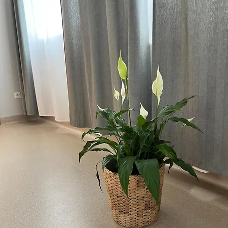 Osrodek Konferencyjno-wypoczynkowy Vandrerhjem Chojna