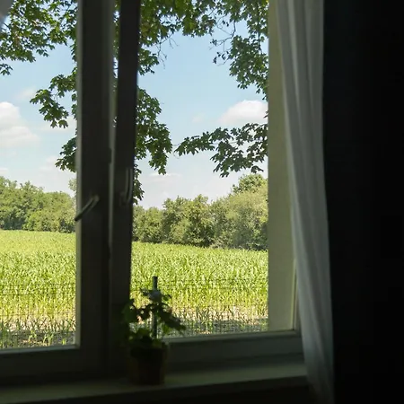 Osrodek Konferencyjno-wypoczynkowy Hostel *