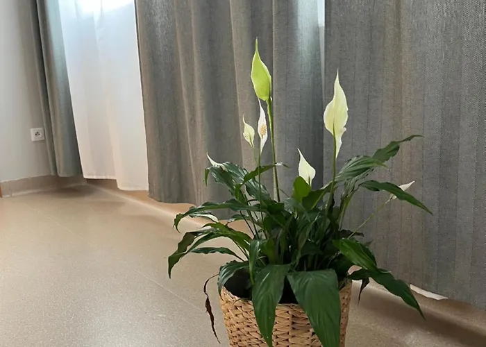 Ośrodek Konferencyjno-wypoczynkowy Hostel Chojna