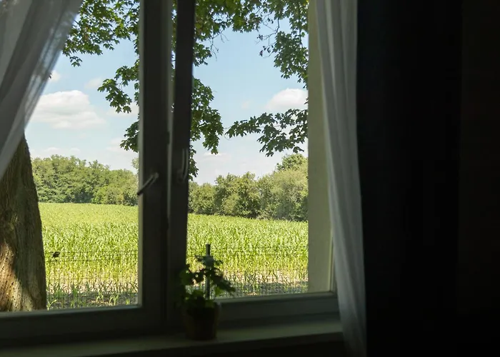 Ośrodek Konferencyjno-wypoczynkowy Hostel *